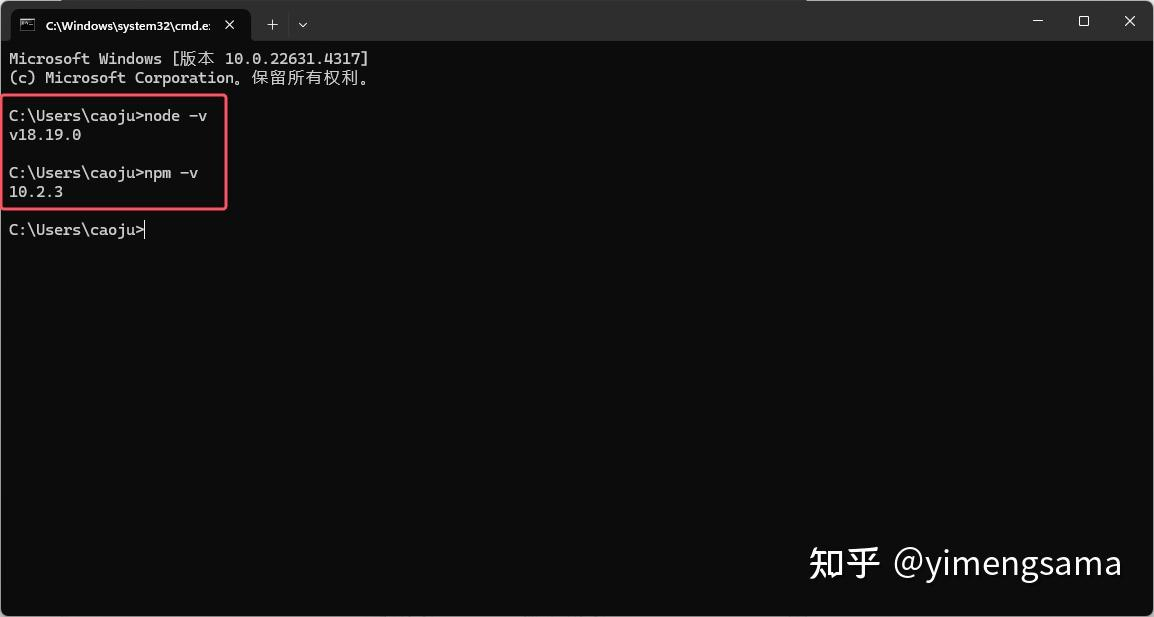 在 Windows 终端查看 Node.js 和 npm 版本